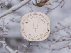 Bulova Accutron Battery Hatch "Coin" Opener