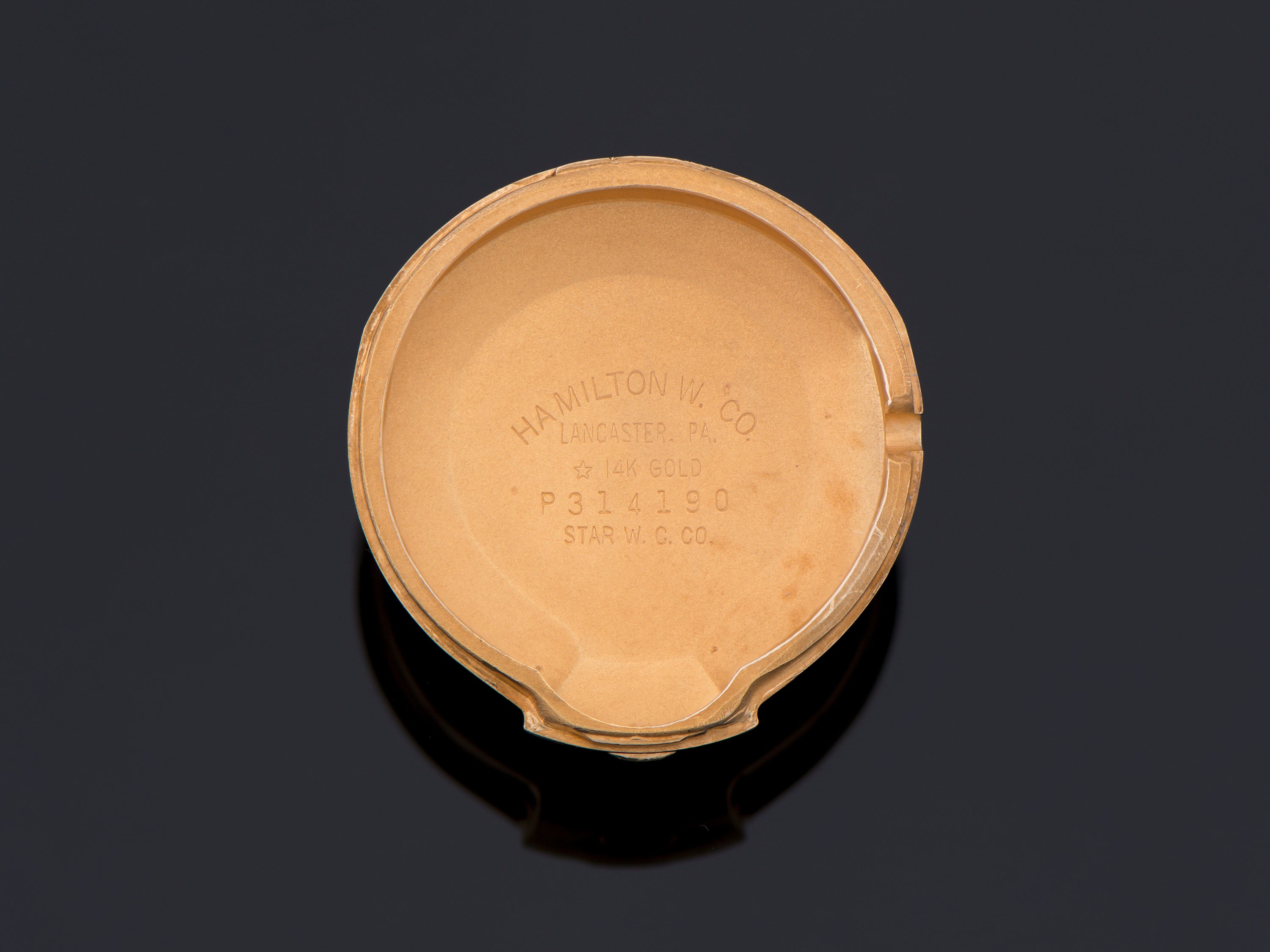 hamilton-electric-polaris-14k-