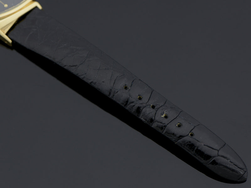 Brand New Genuine Turtle Black Band