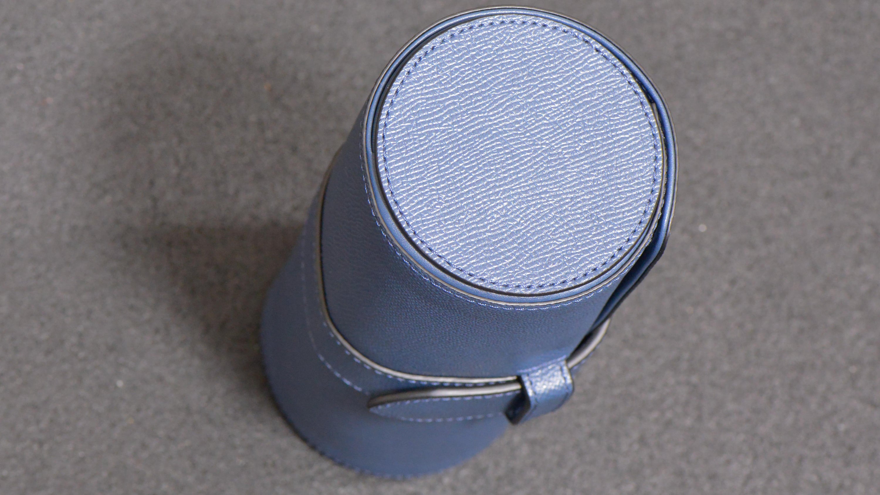 Watch Case | Coach Blue Leather Watch Roll | Unwind In Time