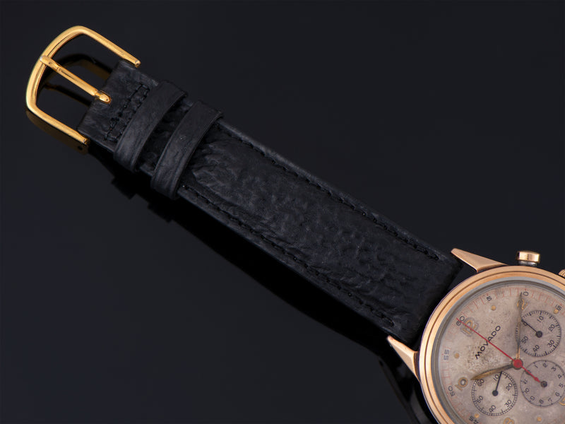 Gently Used Genuine Shark Black Strap With Matching Gold Tone Buckle