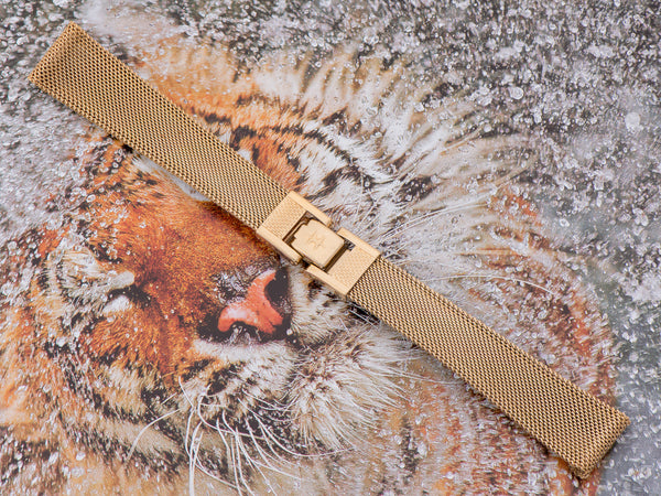 Hamilton Electric Altair Watch Bracelet