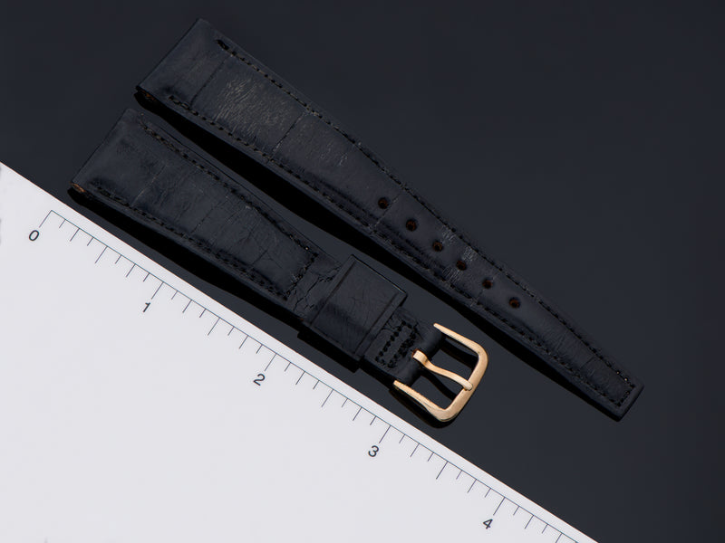 Hamilton Electric Clearview Original Strap & Buckle Length