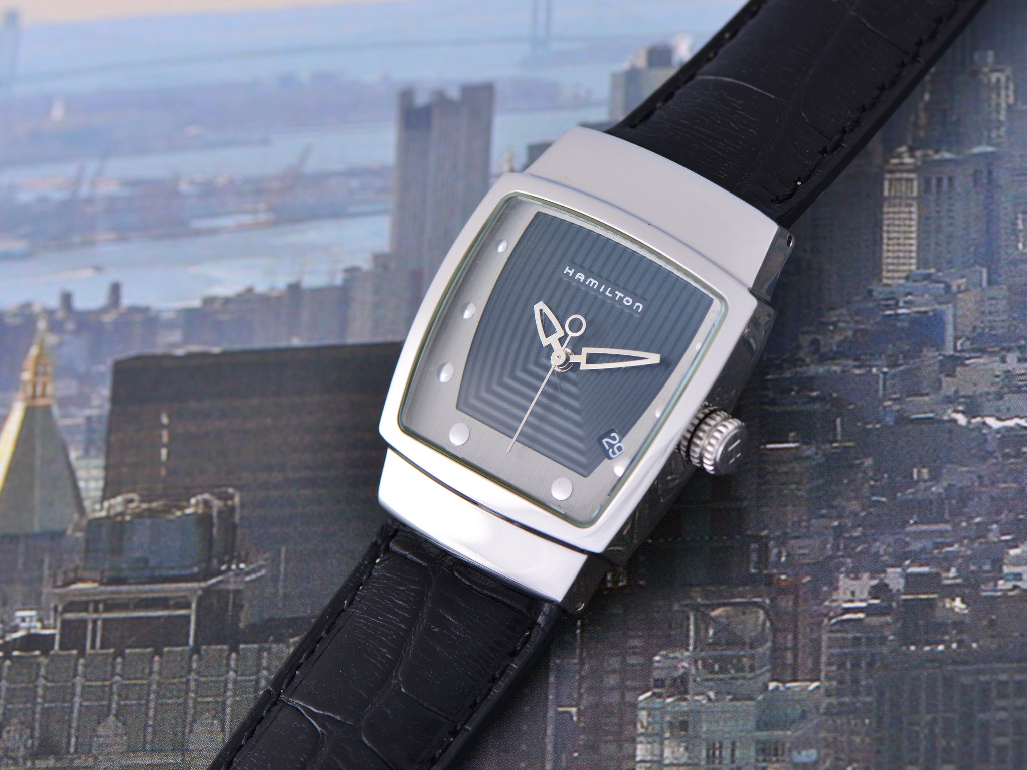 Hamilton Everest Reissue Stainless Steel Watch | Unwind In Time