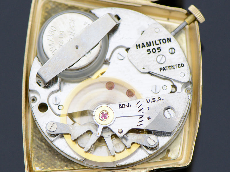 Hamilton Electric Vega