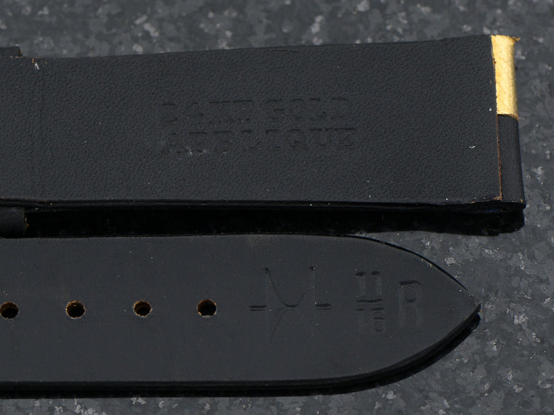 Hamilton Original Ventura Strap & 14K Buckle