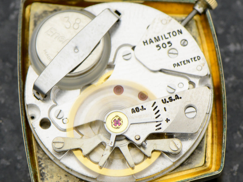 Hamilton Electric Vega