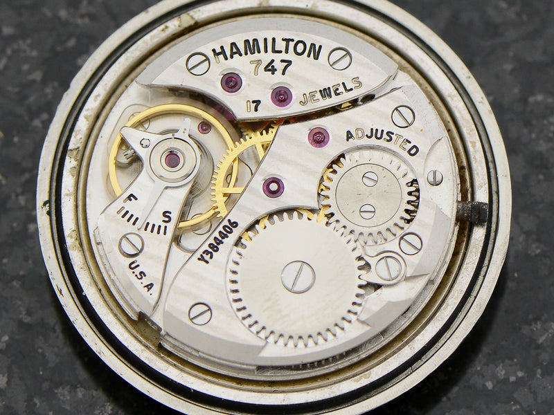 Hamilton Stainless Steel Vardon