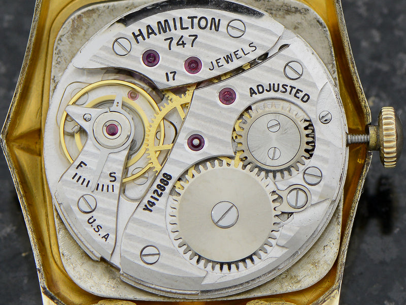 Hamilton Newton