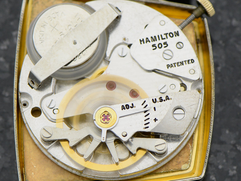Hamilton Electric Vega