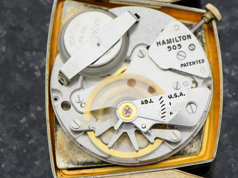 Hamilton Electric Vega