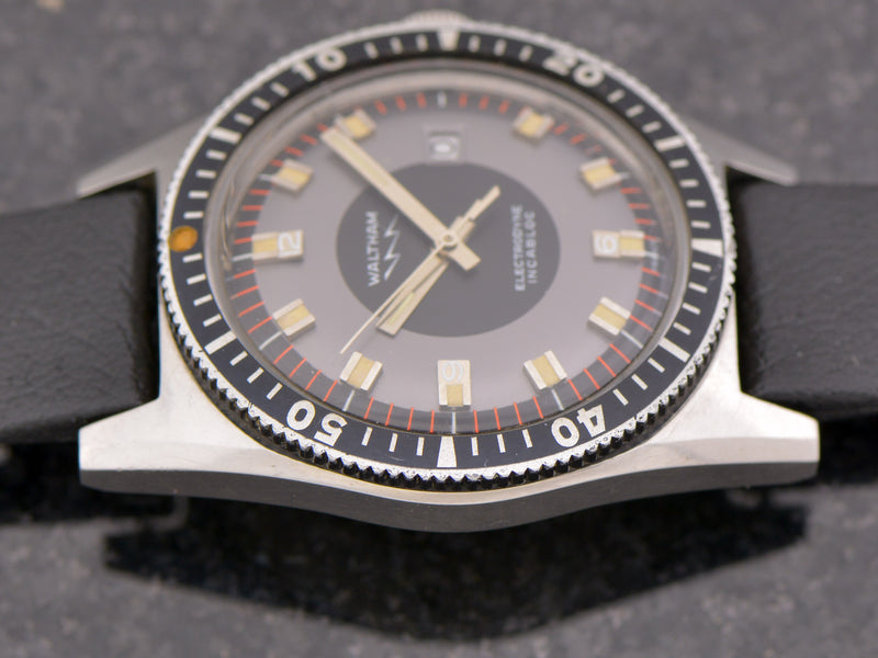 Waltham LIP Electrodyne Diver