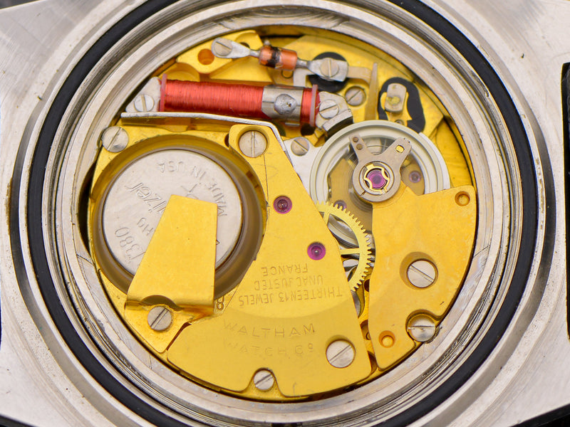 Waltham LIP Electrodyne Diver